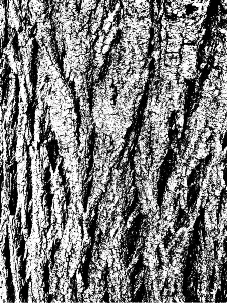 Grunge Träd Bark Struktur Stressad Överlagring Struktur Svart Och Vit — Stock vektor