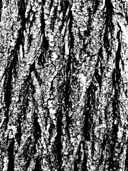 Çamur Ağacı Kabuğu Dokusu Derinden Örtülmüş Doku Siyah Beyaz Vektör — Stok Vektör