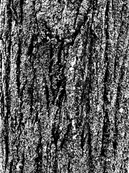 Grunge Árvore Casca Textura Textura Sobreposição Angustiada Textura Vetorial Preto — Vetor de Stock