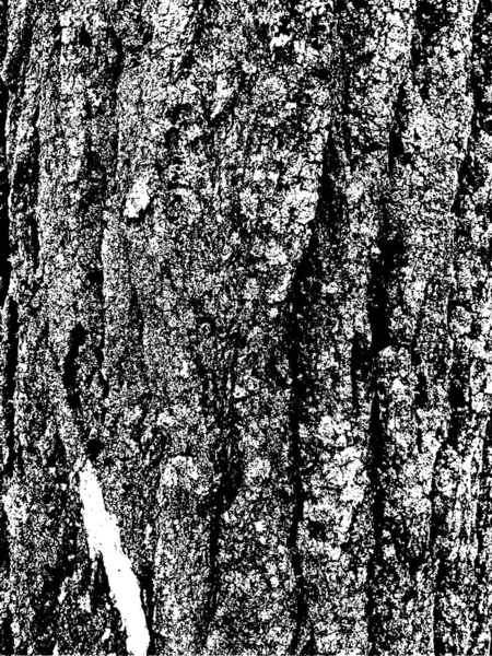 Textura Corteza Árbol Grunge Textura Superpuesta Angustiada Textura Vectorial Blanco — Archivo Imágenes Vectoriales