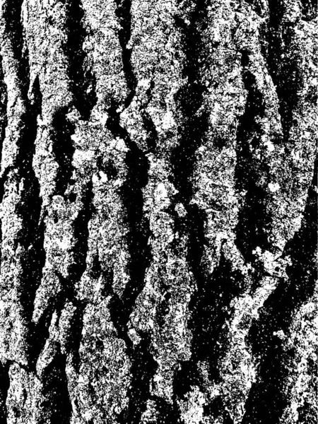 Grunge Tree Bark Texture Distressed Overlay Texture Black White Vector — Stock Vector