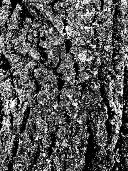 Grunge Texture Écorce Arbre Texture Superposition Perturbée Texture Vectorielle Noir — Image vectorielle