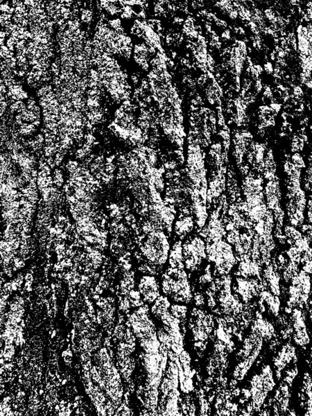 Struktura Kory Grunge Drzewa Niepokojąca Faktura Nakładki Czarno Biały Wektor — Wektor stockowy