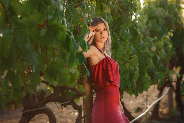 夏天葡萄园里穿着红色衣服的年轻漂亮女士的画像 在美丽的酿酒厂地区享受杜松子酒之旅 — 图库照片