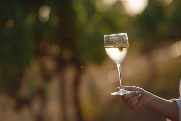 Mujer Viticultora Degustación Vino Blanco Una Copa Viñedo Viñedos Fondo —  Fotos de Stock