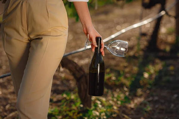 Beautiful woman sommelier checks grapes before harvest. Winner in a white blouse with a bottle of red wine and a glass. Outdoor farmer countryside style