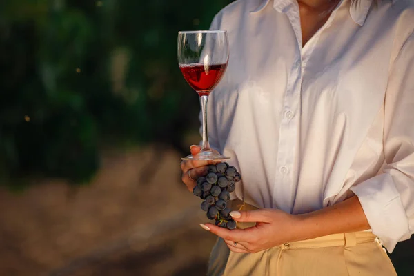 Mujer Viticultora Degustando Vino Tinto Una Copa Uva Viñedo Viñedos —  Fotos de Stock
