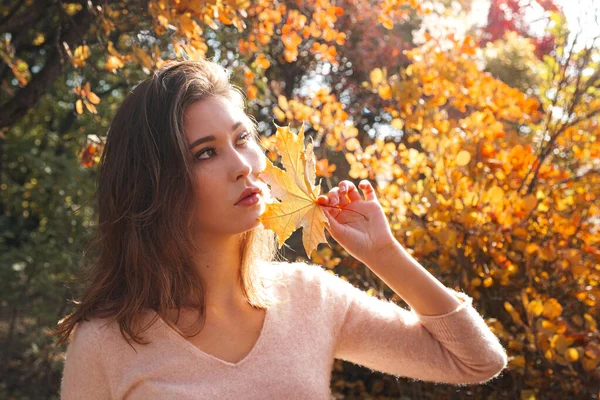 Mooie Jonge Vrouw Wandelend Het Herfstbos Warm Zonnig Weer Herfstconcept — Stockfoto