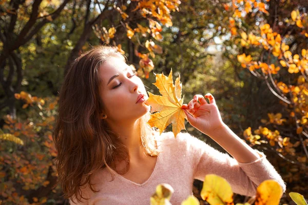Krásná Mladá Žena Kráčí Podzimním Lesem Teplé Slunečné Počasí Koncept — Stock fotografie