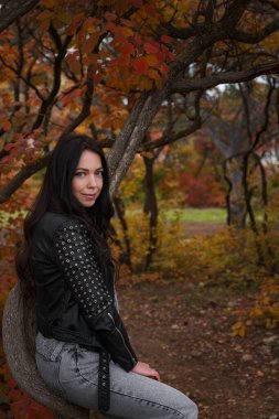 Sonbahar genç beyaz kadın sonbahar parkında siyah deri ceket, gri kazak ve kot pantolon giyiyor. Sıcak hava.