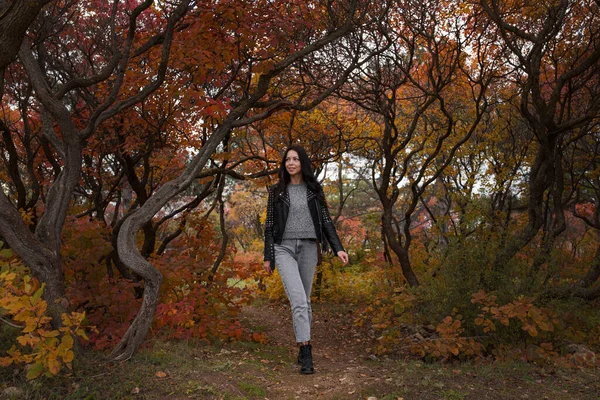 Autumn Young Caucasian Woman Wearing Black Leather Jacket Gray Sweater — Stock Photo, Image