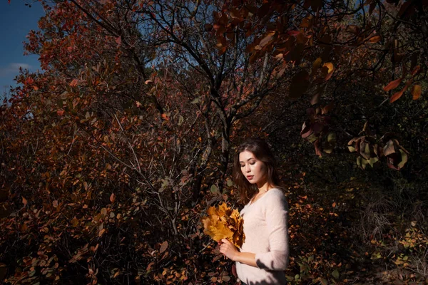 Beautiful Young Woman Walking Autumn Forest Warm Sunny Weather Fall — Stock Photo, Image