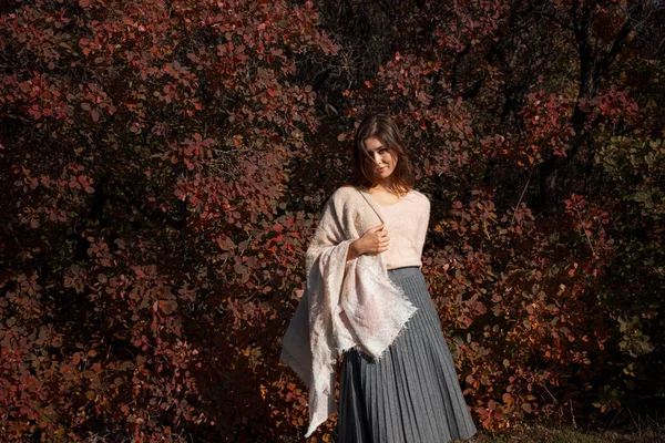 美しい若い女性は 秋の森の中を歩く 暖かい晴天 秋のコンセプト — ストック写真
