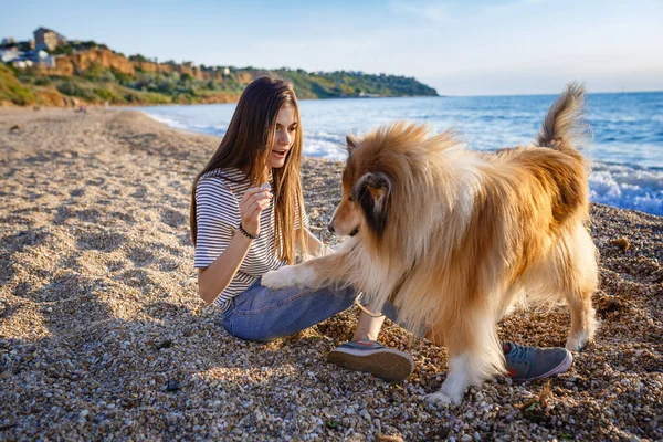 Une Jeune Femme Chien Âgé Promènent Campagne Soir Été Une — Photo