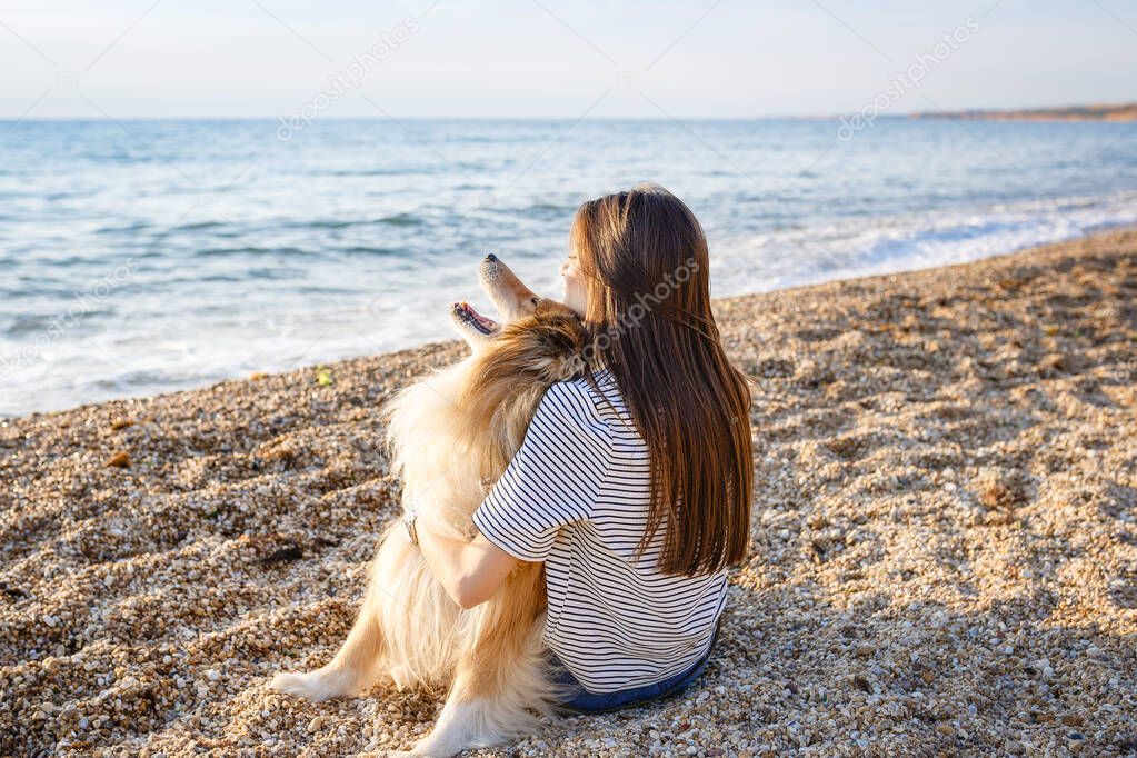 A young woman and an elderly dog walk in the countryside on a summer evening. A lady and her faithful friend from childhood a collie dog