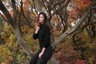 Güzel Asyalı kadın güz gününde poz veriyor, güzel havanın tadını çıkarıyor. Romantik bir kadının çalışma sanatı. Oldukça yumuşak bir model kameraya bakıyor..