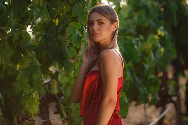 Retrato Jovem Senhora Beleza Vestido Vermelho Nas Vinhas Temporada Verão — Fotografia de Stock
