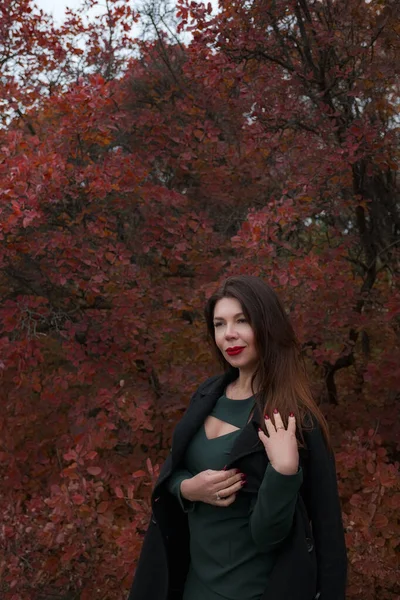 Портрет Чудової Жінки Середнього Віку Осінньому Парку Привіт Листопад Стильна — стокове фото