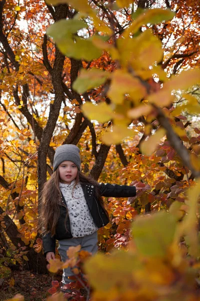 かわいい子供の女の子4 5歳は公園でセーターやジャケットを着ています カメラを見て 秋のシーズン 子供の頃 おしゃれでチャーミングなお嬢様 — ストック写真