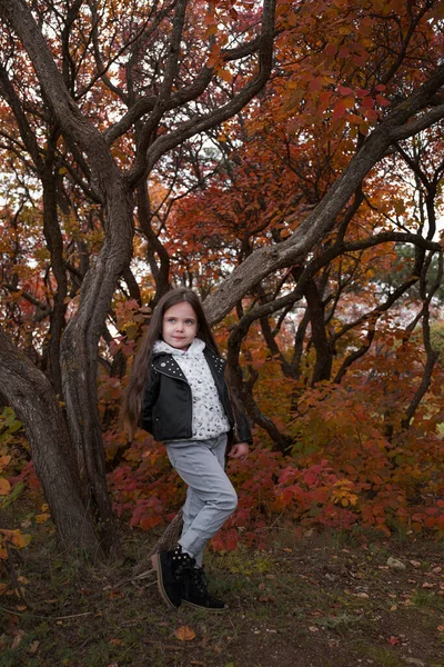 かわいい子供の女の子4 5歳は公園でセーターやジャケットを着ています カメラを見て 秋のシーズン 子供の頃 おしゃれでチャーミングなお嬢様 — ストック写真