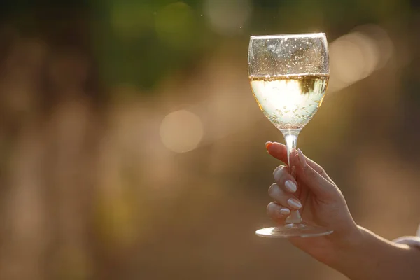 Mujer Viticultora Degustación Vino Blanco Una Copa Viñedo Viñedos Fondo —  Fotos de Stock