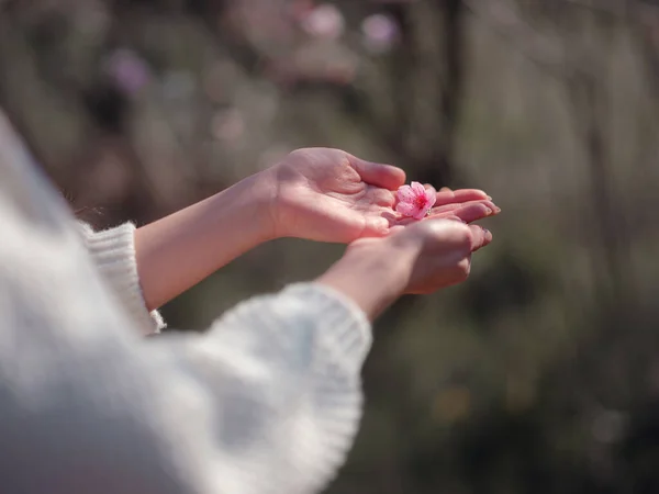 Beautiful Young Woman Blooming Spring Cherry Blossom Tree Idea Concept — Stock Photo, Image