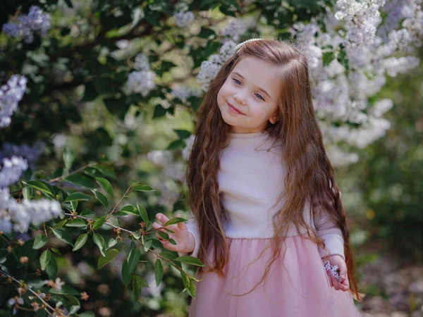 Pembe Şık Elbiseli Güzel Bir Kız Leylak Bahçesinde Yürüyor Şefkat — Stok fotoğraf