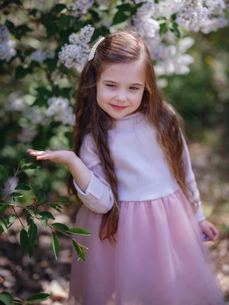Pembe Şık Elbiseli Güzel Bir Kız Leylak Bahçesinde Yürüyor Şefkat — Stok fotoğraf