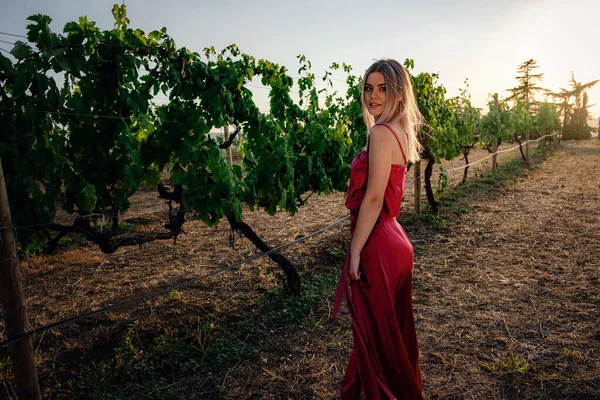 Portrait Young Beauty Lady Red Dress Vineyards Summer Season Enjoying — Stock Photo, Image