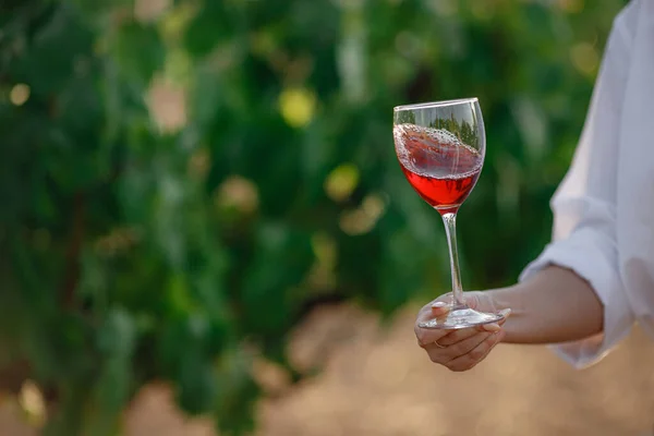 Mujer Viticultora Degustación Vino Tinto Una Copa Viñedo Viñedos Fondo —  Fotos de Stock