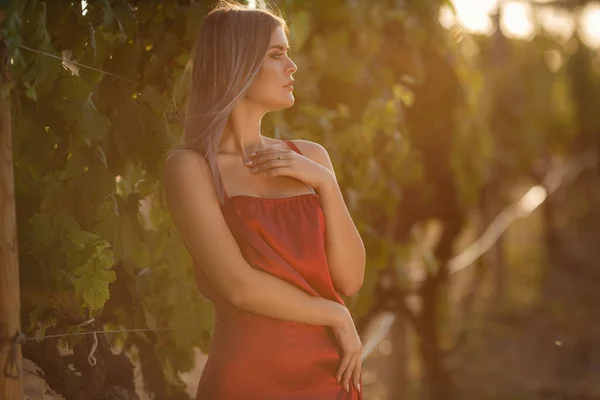 Retrato Jovem Senhora Beleza Vestido Vermelho Nas Vinhas Temporada Verão — Fotografia de Stock