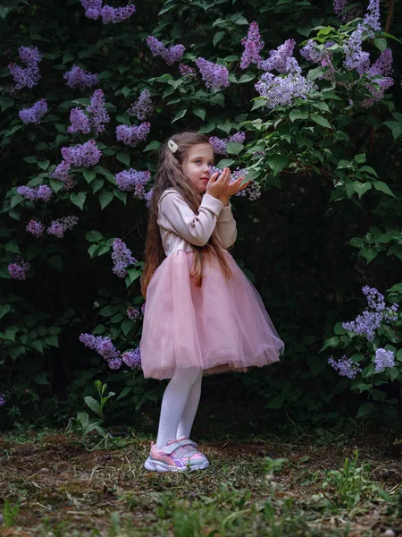 Красивая Маленькая Девочка Розовом Стильном Платье Гуляющая Сиреневом Саду Идея — стоковое фото