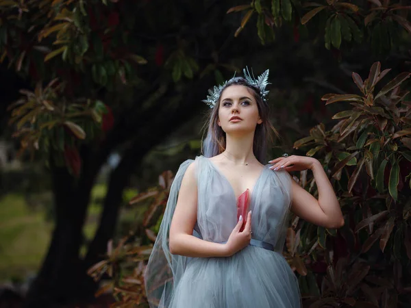 一个漂亮的女人 像一个仙女或仙女在公园里散步 童话形象艺术照片 森林的仙女靠近一棵美丽而不寻常的树 — 图库照片