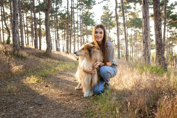 夏の夜 若い女性と高齢者の犬が田舎を歩く 子供の頃からの女性と彼女の忠実な友人コリー犬 — ストック写真