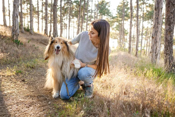 Una Mujer Joven Perro Anciano Pasean Por Campo Una Noche — Foto de Stock