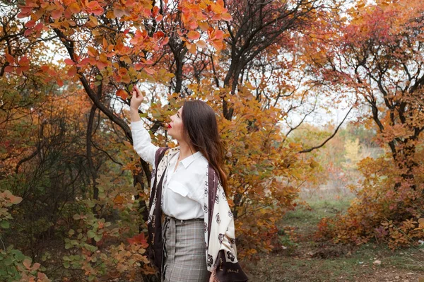 秋の公園で豪華な中年女性の肖像画 11月だ ビジネスカジュアル — ストック写真