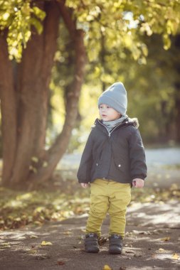 Güneşli bir günde küçük bir çocuk ve sonbahar parkı. Sonbahar havası. Temiz havada yürü.