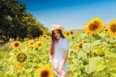 Ayçiçeği arasındaki genç güzel kadın