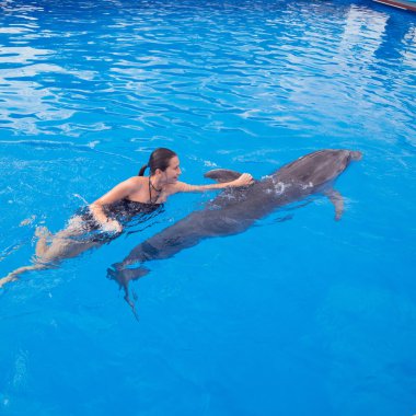 Girl swimming with Dolphin clipart