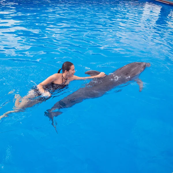 Menina nadando com golfinho — Fotografia de Stock