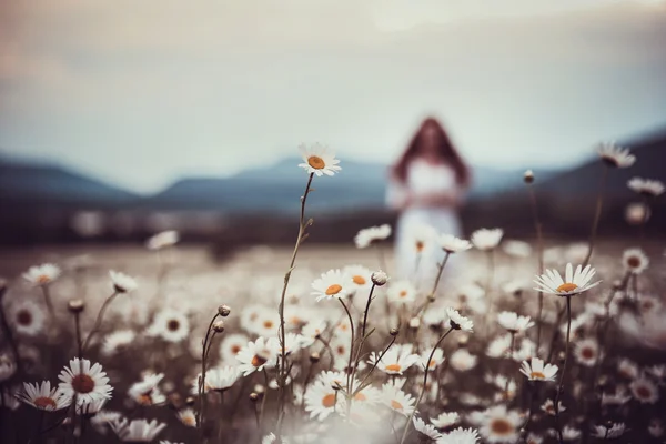 Bilden av vacker kvinna liggande på kamomill fält, glad femal — Stockfoto