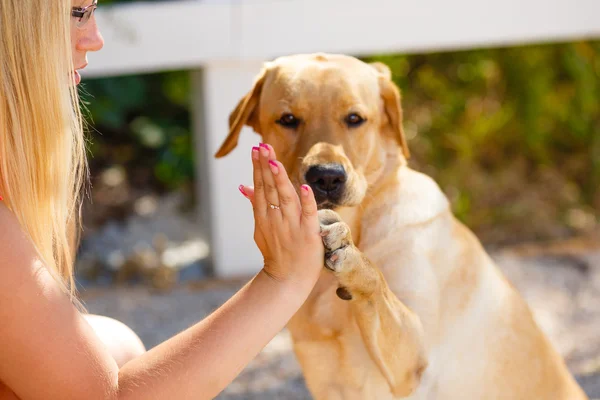 Portrait de belle jeune fille avec son chien labrador retriever en plein air en été beau parc — Photo