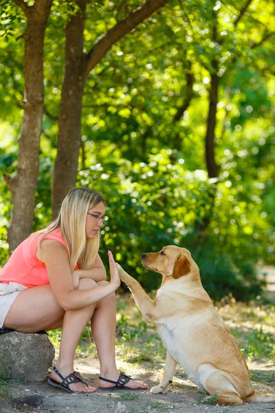 Portret van mooi jong meisje met haar hond labrador retriever buiten in de zomer prachtig park — Stockfoto