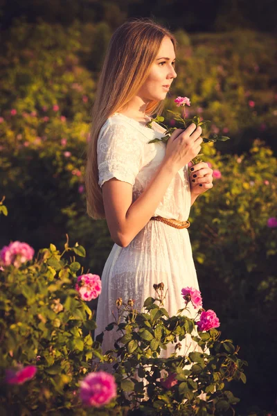 Kerti rózsák a naplemente gyönyörű nő — Stock Fotó