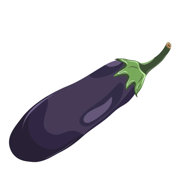 Patlıcan vektör çizim.