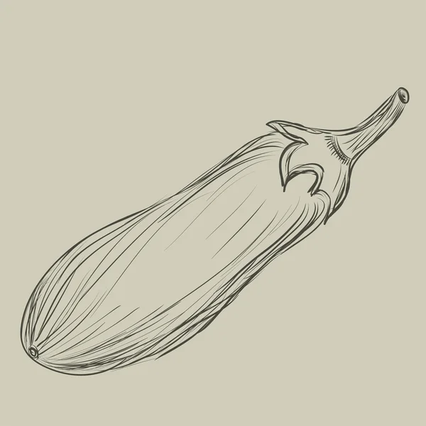 Patlıcan kroki. El çizimi — Stok Vektör