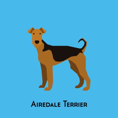 Yalıtılmış bir köpek