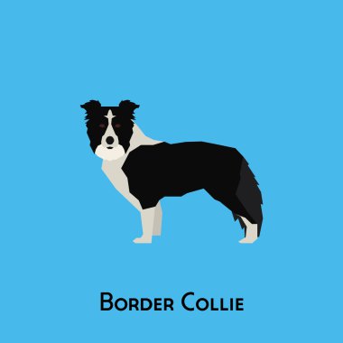 Yalıtılmış bir köpek