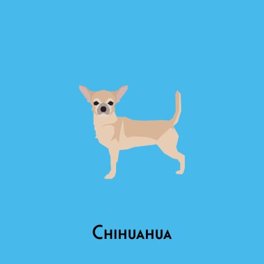 Yalıtılmış bir köpek