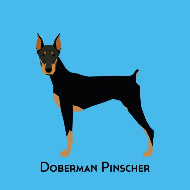 Yalıtılmış bir köpek